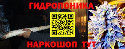 спиды Моздок