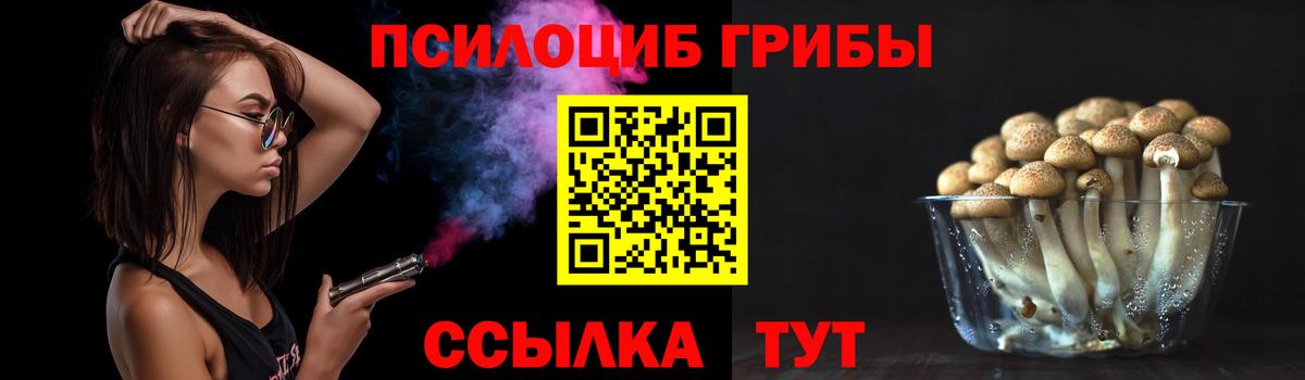 Семёнов  Галлюциногенные грибы Psilocybe  Вход с VPN  Псилоцибиновые грибы ЛСД 